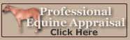 Matthews Professional Equine Appraisal 
