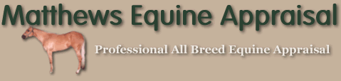Professional All Breed Equine Appraisal